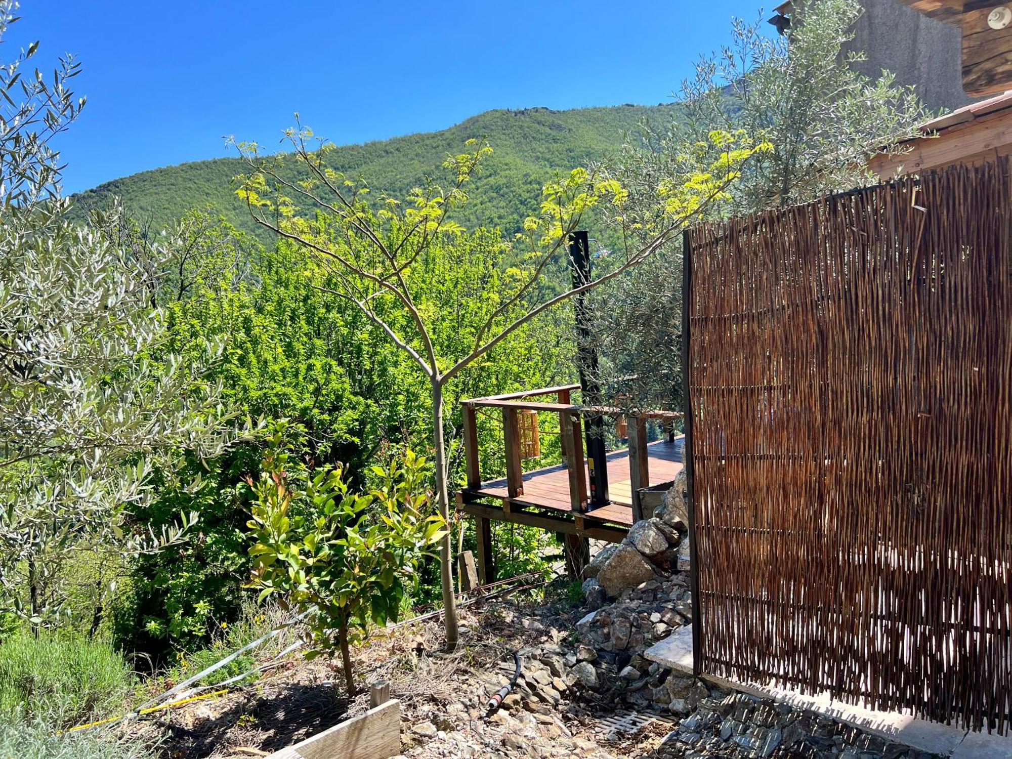 Les Magnels Bed & Breakfast Valleraugue Rom bilde